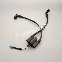 33410-89L10 اگنیشن کنڈلی